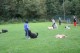 Thumbs/tn_Bild 014.jpg